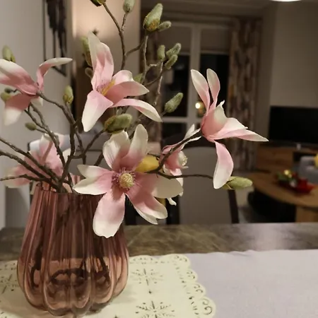 公寓 Trzy Magnolie Park 斯克拉斯卡波伦巴